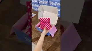 Let&rsquo;s Pack a Dog Subscription Box Together! #dogsubscriptionbox #dogbox #dogtoys #subscriptionbox