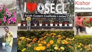 SECL मुख्यालय बिलासपुर में गार्डन का सुंदर नजारा #youtube #vlog#viral #view#like #kishor Blockbuster