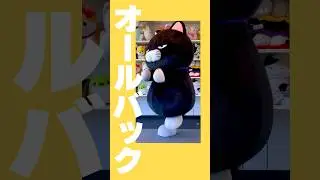 黒豆の強風オールバック【ことり隊といっしょ】　#Shorts #きぐるみ #dance