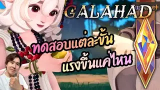 【AFK Journey】 GALAHAD ทดสอบแต่ละขั้น ต้องเปิดสุดมั้ย ของดีกดเถอะ