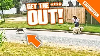 PIT BULL CHARGES WOMAN While We Were MOWING This Overgrown YARD!