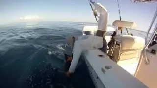 SAILFISH FISHING ISLA MONTUOSA, PANAMA