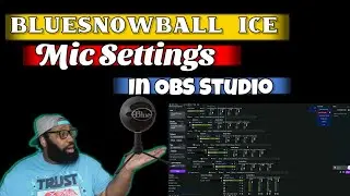 Bluesnowball Ice Mic in Obs Settings 2022 | (EASY) | No Voicemeeter required!