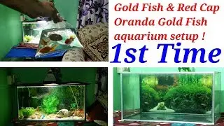 Aquarium First Time Setup/Goldfish aquarium setup/Oranda rep cap goldfish aquarium setup..