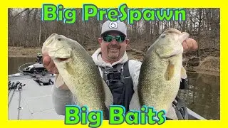 Crushing Big Prespawn Bass on 6&rdquo; Swimbaits!