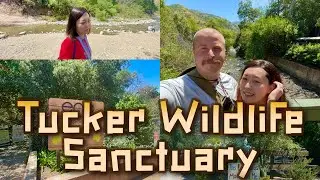 Tucker Wildlife Sanctuary Modjeska Canyon