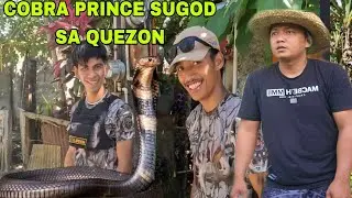 Mga bahay sa bukid MGA COBRA KING na mga naninirahan COBRA PRINCE AT TEAM COBRA RESCUE SA QUEZON