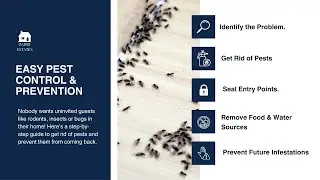 Easy Pest Control & Prevention
