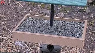 01/04/2026: Backyard Birdwatching Bonanza! Watch the Flocking Around Bird Cam Daily @ 8:00 AM