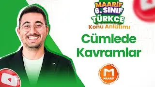 Cümlede Kavramlar | 6. Sınıf Türkçe | Maarif Modeli | Ders 11