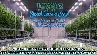 Wildest Grow & Show On YouTube With LeVeLz & This Grow Community Where We Link Share These Growz!!