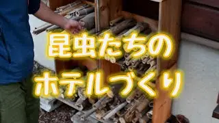 昆虫たちのホテルづくり
