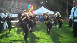 Haddonfield Karate, UMAA Demo Team 2011 Chicken Run