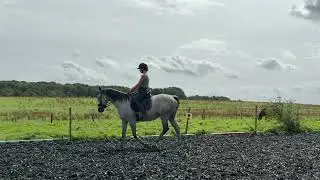 2025-09-13 Hypoth&egrave;se Valdieu cours dressage