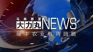 Dali Pill News 297_20122025