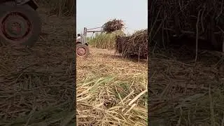 गांन्ना  भरने का सबसे सस्ता जुगाड़ सबसे अच्छा जुगाड़