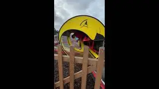 Аттракцион Luna Loop в музее техники в Sinsheim