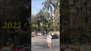 End of 2025. #viralvideo #recap2025 #memories