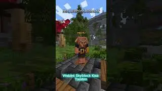 mc.webint.com.tr - skyblock server #minecraft #mc #sunucu