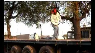 Téré Pirattack- Africa