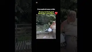 Nature&rsquo;s Connection: Animals Gather Around the Man with a Pure Heart&rdquo;