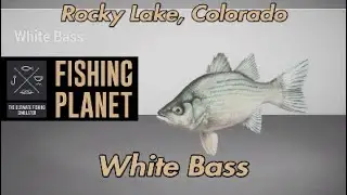 White Bass Rocky Lake Colorado Fishing Planet Guide