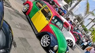 Festibug 21