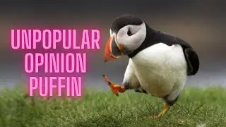 Unpopular opinion puffin - meme compilation