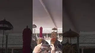 #aanakeralam #elephant #aanakotta #poorapremikal #love #pooram #aanaprem#aanayumpooravum