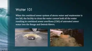 WSA GoGreen Water 101