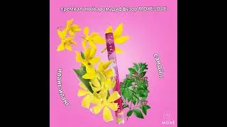 Премиальный аромадиффузор MOXE LOVE