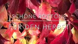Sch&ouml;ne Rott&ouml;ne f&uuml;r den Herbst