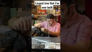 Making G Scale Wire Tree #modelrailroad #shorts #dachshund