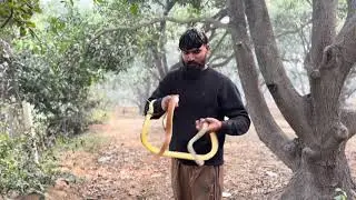 The Day That Changed Humanity Forever#snake 