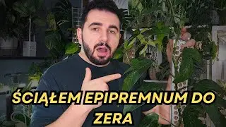 Nie Ma Już Odwrotu… 🌱 | Cięcie do ZERA