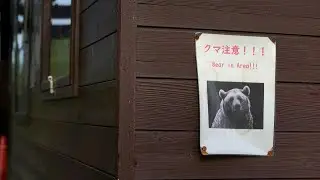 Japan sends troops to region hit by deadly bear attacks | AFP