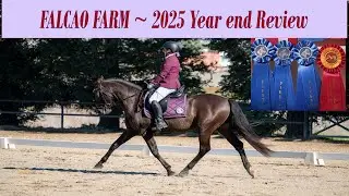 FALCAO FARM 2025 REVIEW - 24/7 LIVESTREAM Special !
