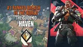 ПОЛНОЕ руководство по игре в Breach на Haven