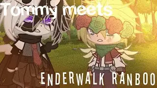 ☆ Tommy meets Enderwalk Ranboo ☆ GC ☆ DSMP ☆