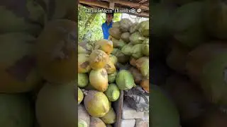 I Found Hydration Station💧 & Stayed For Malai Addiction😉 #explore #coconut #healthyfood #life #viral
