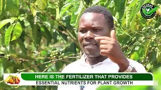 Best advice on how to apply fertilizers to earn high crop yields on different crop farms.