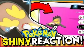 LIVE SHINY GALARIAN STUNFISK & GOGOAT REACTIONS! Pokemon Sword & Shield Shiny Reaction!