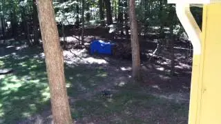 Fmarff Woodpile 2