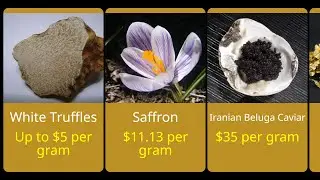 Price Comparison Most Expensive Substance 2023