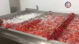 Fresh pepper washing machine pepper vegetable automatic washing line