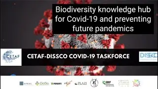 CETAF DiSSCo Biodiversity Hub Intro 2020 07 15