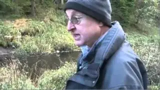 Jerwood Open Forest 2014 - Chris Watson and Iain Pate