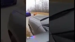 Paws off the wheels bud!! #funny #aivideo #memes #catvideos #sora