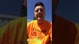 Blue Moon Light Sky Beer Review
