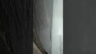 lmd dam